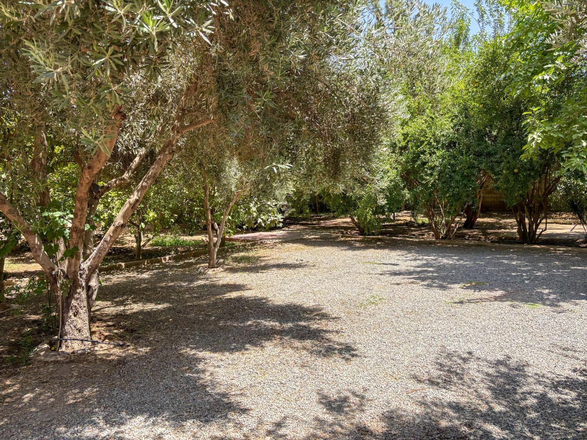 Le Bleu House Bed & Breakfast Sidi Abdallah Ghiat Екстериор снимка