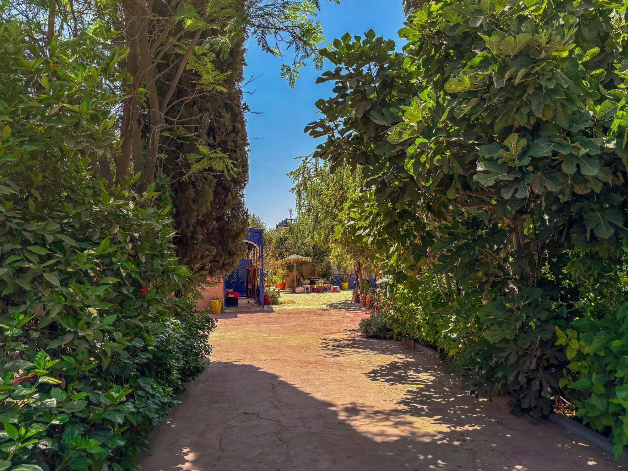 Le Bleu House Bed & Breakfast Sidi Abdallah Ghiat Екстериор снимка